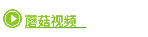 蘑菇视频